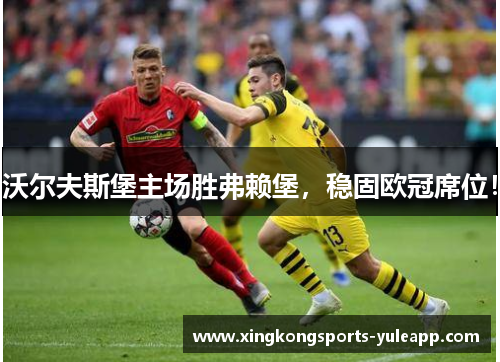 沃尔夫斯堡主场胜弗赖堡，稳固欧冠席位！