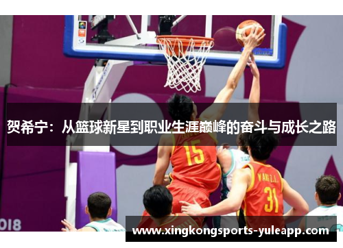 贺希宁：从篮球新星到职业生涯巅峰的奋斗与成长之路